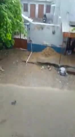 पीसांगन में 31 जुलाई 2021 रात्रि से तेज बारिश का दौर जारी Pisangan Raining #Pisangan #Rain Pisangan News