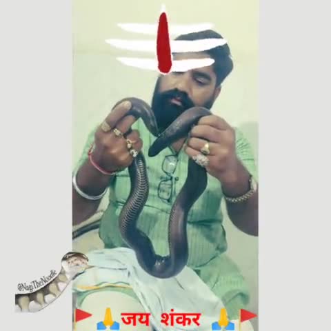 #श्रावण मास के सोमवार दिवस पर सभी को #जय_शंकर🚩🙏