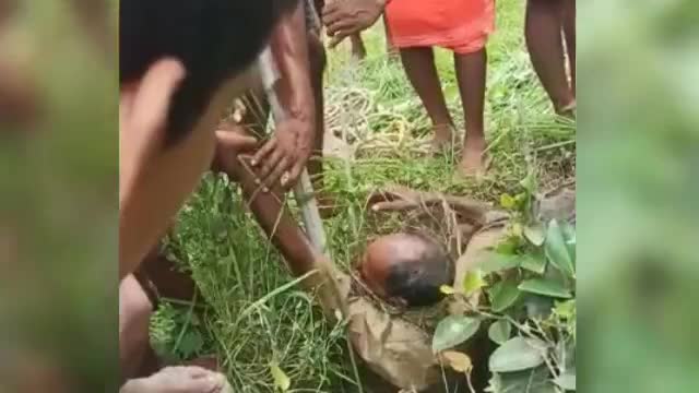 और कुएं में जा गीरा,,मामला केसठ प्रखंड के बैजनाथपुर गांव का है।
#savelife