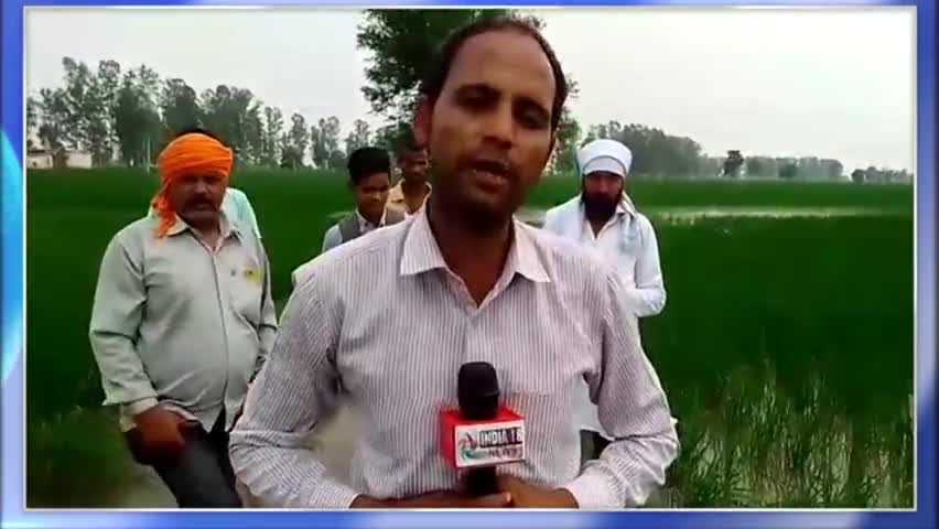 निसिंग: डाचर के डेरा कोहडे वालों के लोग बरसात की वजह से नारकीय जीवन जीने को मजबूर।

#india #india18 #indiatv #nissing #karnal