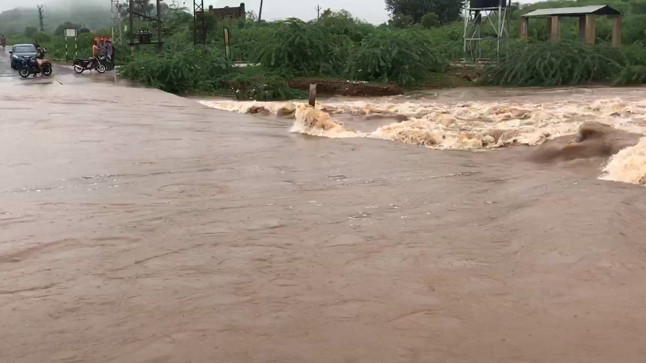 सवाई माधोपुर: Sawai madhopur ranthambhore sherpur road #baarish #ndtvnews034
 #dainikbharat