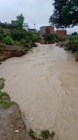 पोहरी: kinni full river upan par rat me bahut tej baresh hute huye#pohari kinni full#newsnation_team