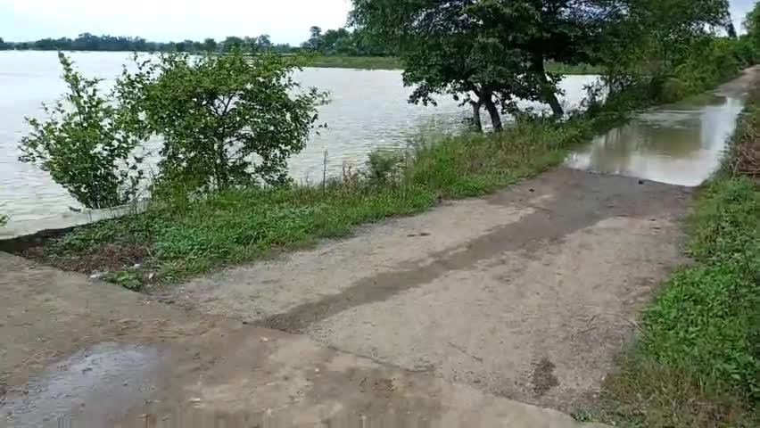रॉबर्ट्सगंज: MARASARA GHORAWAL SONBHADRA #badh #river over flo #flood@