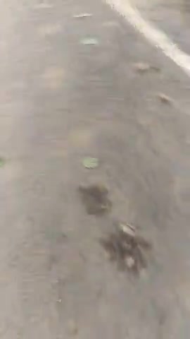 धनरुआ: विशूणचक:दहार  समस्या आवा गमन पूरी तरह से अस्थ वयस्थ #official #public app#reporting