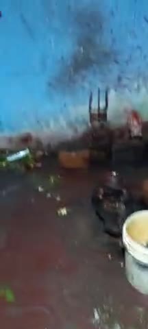 बरूराज मोतीपुर: जय जय माँ कुवारी देवी के स्थान के नीकट शिव मंदिर है ऊसी मै सुबह चार बजे के करीब नाग देव आऐ है जो आभी तक है,#Manoj kumar