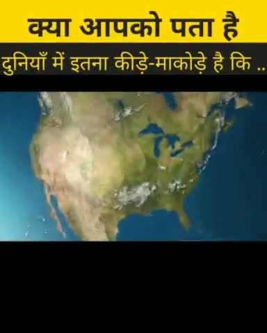 दुनिया में इतने कीड़े हैं कि मुकेश अंबानी के घर में #facts #b2walagyan #funfacts #funny #fact #hindi #reels #sexyfacts