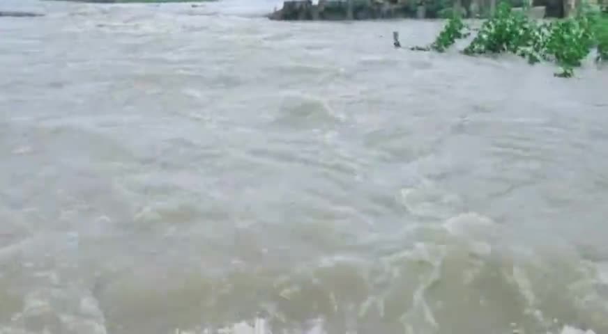 आलमपुर तथा आसपास के कई जगह रोड के ऊपर पानी चलने से वाहन के आना-जाना भी बंद हो गया#barsatiMausam