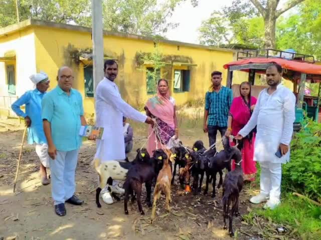 गढ़वा: पशुपालन कार्यालय में मंत्री मिथलेश ठाकुर के निर्देश पर लाभुकों के बीच किया गया बकरी का वितरण #पशु #वितरण