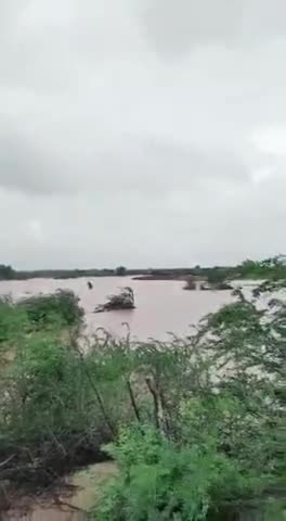 सवाई माधोपुर: #_सवाई_माधौपुर के #_चितारा मैं बारिश से जनजीवन प्रभावित