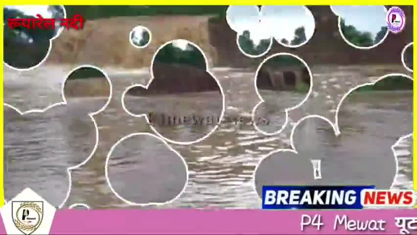 रूपारेल नदी में आया पानी का कड़ा और सीकरी का बांध में आ सकता है पानी
#रूपारेल_नदी #p4mewat #MustakAhmadPahat