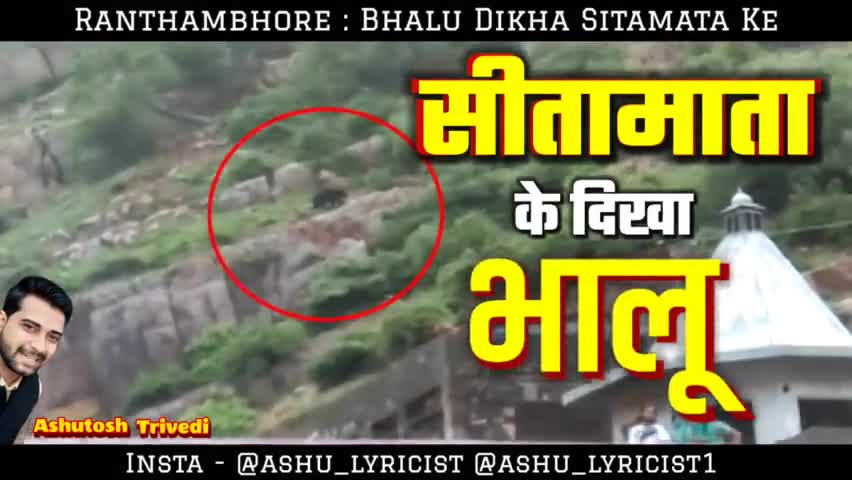 Sawai Madhopur : सीतामाता की पहाड़ी पर अचानक भालू दिखा, पर्यटकों में खुशी की लहर...

#iamashu #viral #bear #viralvideos
