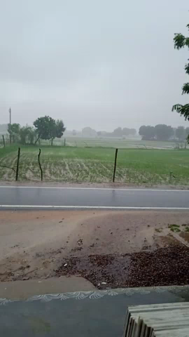 सवाई माधोपुर: जाझेडा गाँव में बारी बरिश #@#सीबीएसई