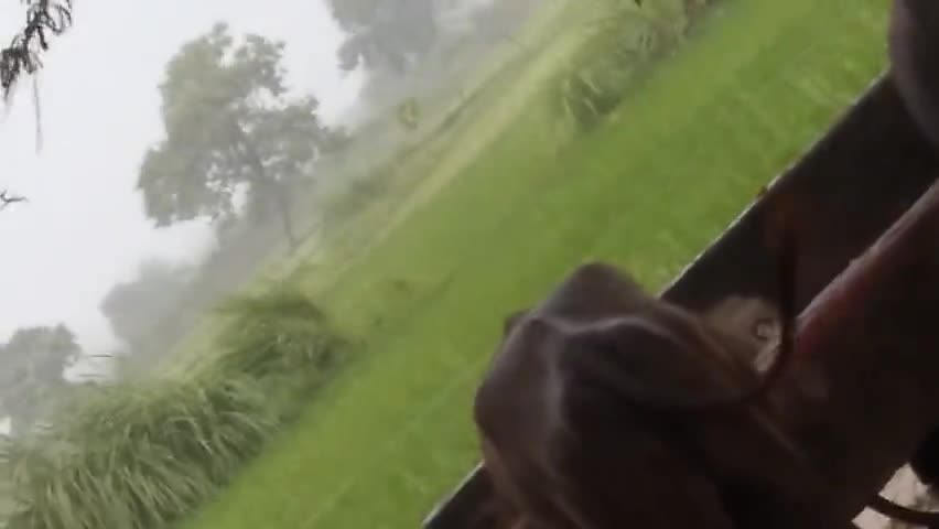 कानपुर में हुई अन्धाधुन्ध बारिश☔☔☔🌂🌂🌂☔💦💦
#मौसम_विभाग