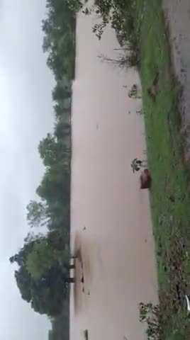 #खनियाधाना में पिछले तीन दिनों में_
01-08-21_149.7 MM
02-08-21_250.9 MM
03-08-21-10.4 MM 
कुल मिलाकर_411MM वर्षा हुई है।