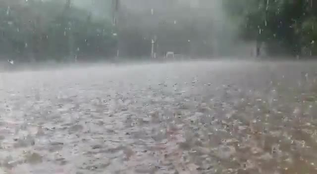 very beautiful rain 🌧️#raxstarrax﻿#naushadali00