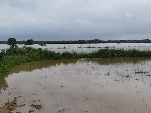 चकरनगर: kuwar pur kurchha ka bahut bura haal hai gao baad me aa chuka hai kisano ki bahut kharab halat hai
#मुख्तार_अंसारी
