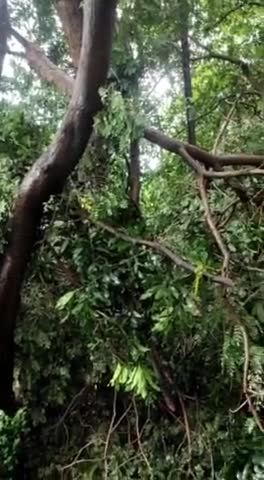 साइंस कॉलेज परिसर के पास बहुत बड़ा हादसा होने से बचा'
#science college
#Gwalior