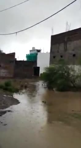 बासोदा: गलियां बनी नदियां।
#गंज बासोदा वार्ड नंबर 8 स्थित लव कुश कॉलोनी में जलनिकासी न होने के कारण #जलभराव की स्थिति।