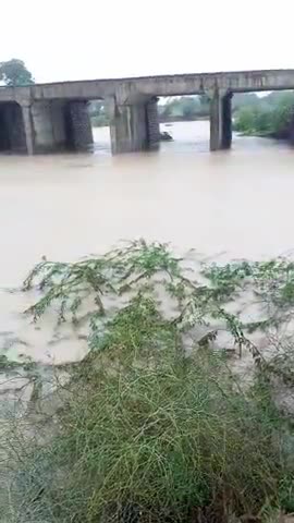 बारां: ﻿#baran me relway station ki puliya #ke pass me barish ke mosam @me ﻿bhut teji se pani ka bahau yha #jma ﻿ho gya h.🙏🏻