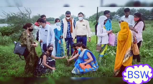 उज्जैन शहर: समाजकार्य् विद्यार्थी ने किया पौधरोपण
#BSW #ujjainnews 
#CMCLDP