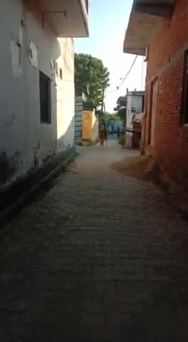 मवाना: गांव अहमदपुरी उर्फ अमनपुरी मे बहरुपिये कलाकार ने महाकाल शिव का भेस मे अपनी कलाकारी का प्रदर्शन किया #LikeeSuperme #duet