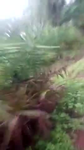 सिरोंज: saraku Panchayat gram Ramnagar ka stop dam Aaj फूट गया#सिरोंज #सिरोंज