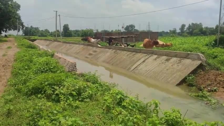 गढ़वा: सदर प्रखंड के मेंढ़ना गांव में नहर का पानी अचानक छोड़ने से गांव में मची तबाही #पानी #तबाही