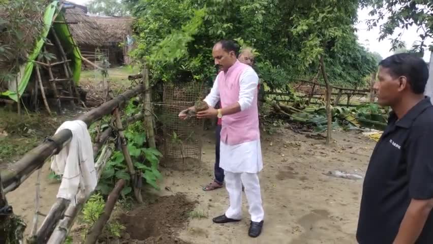 #हरियाली_अमावस्या के अवसर पर वृक्षारोपण  किया एवं आप सभी से भी आग्रह है कि वृक्षारोपण अवश्य करें।