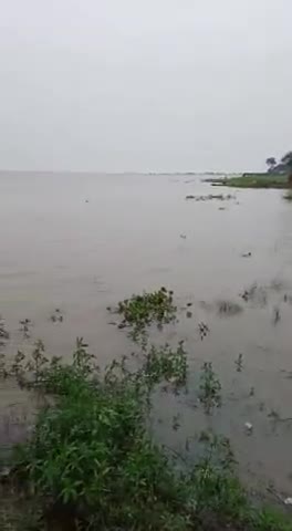 बड़हरा: बड़हरा थाना क्षेत्र के अंतर गत ज्ञानपुर सेमरिया में जग शाला पर चढ़ा चुका है#national_news #abpnews