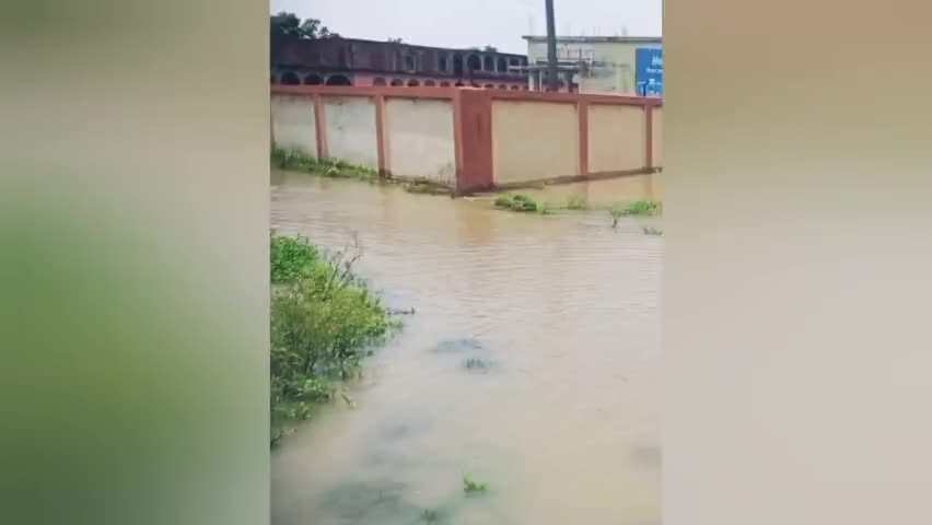 मटिहानी: #begusarai #matihaniflood #biharflood #floodnews #bihar #floodindia#