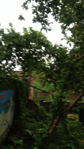 #Anandpur gaon mein Hui Puri tasteride barish