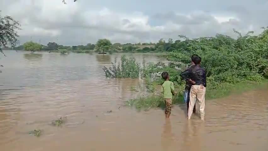 ललौली तराई की जलभराव की तस्वीर करोड़ों बीघा फसल बर्बाद कई गांव का संपर्क आवागमन बंद#डीएम फतेहपुर #साध्वी निरंजन ज्योतिजी