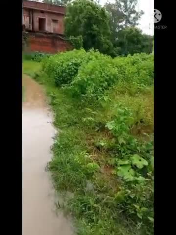 डुमरांव: #Adarsh Nagar Lane 4, D. K. Collage Road
Dumraon , 802119