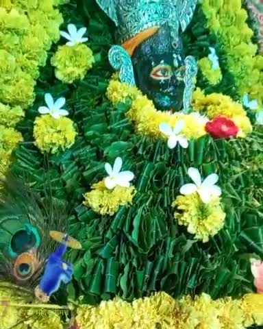 बाबा श्री श्याम के मनमोहक दर्शन
#जयश्रीश्याम