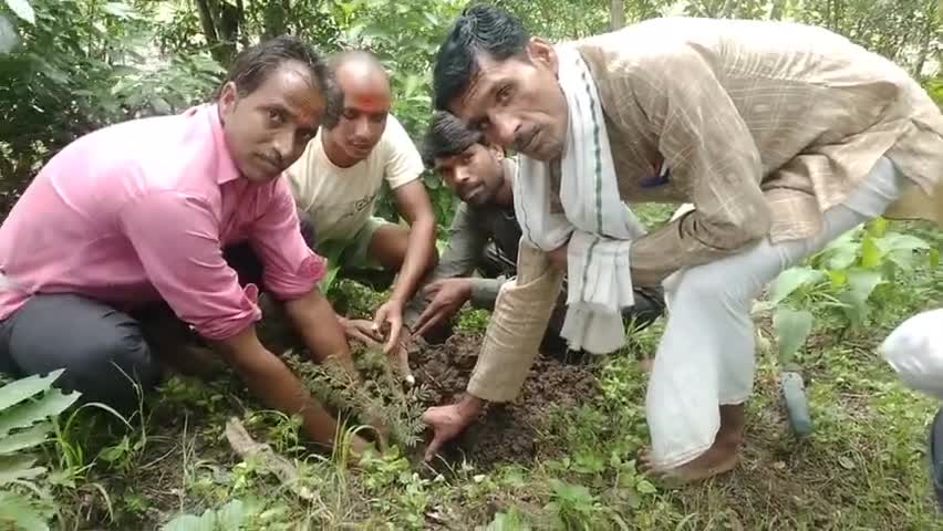 लटेरी: #डाक बम कावड़ यात्रा# के शुभ अवसर पर ग्राम जावती के शिवालय  पर शमी का पौधा को रोपित किया और उसकी देखरेख का संकल्प लिया