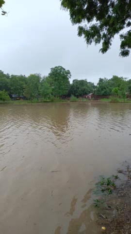 मुहम्मदाबाद: mohammadab Sherpur Kalan Raju Rai ke dera  khet me pani laga gaya hai. #badmer #mohammadiqbalbukhari
