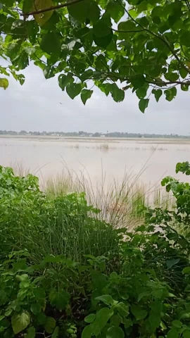 आरा: bhusahula#badh ka pani logo ko ho rhi awagaman ki dikkat
