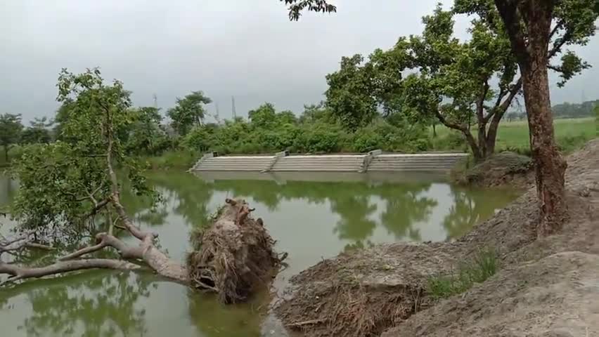 बंजरिया: दो दिन पूर्व जेसीबी से अज्ञात लोगों ने चैलाहा सउआईन के पोखरा को किया ध्वस्त व बरगद के हरे पेड़ को काटा #आक्रोश