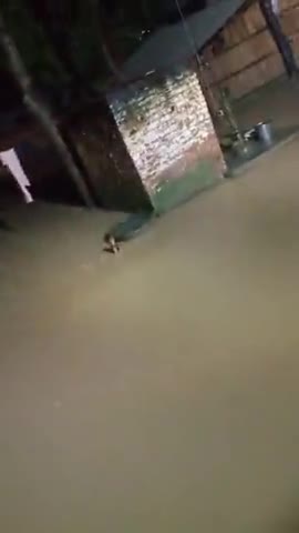 लंभुआ: lakhipur kapsa  saroj Basti ka hal nali na saf hone Ke Karn aur nali ko @#pat diya gaya hai