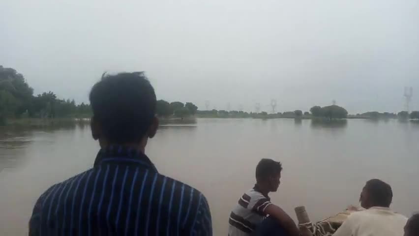 चुनार: चूनार के शिवपुर  गाव में स्टीमर से किया गया पशु बचाव।
#flood 
#रेस्क्यू