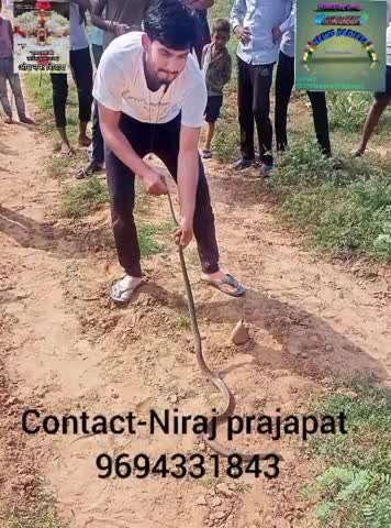 बेकिंग न्यूज़ बदलेटा गांव का लड़का 🙏 #news24raj #todabhimnews #shivanshm170 #vishnujaga #vkbadleta
