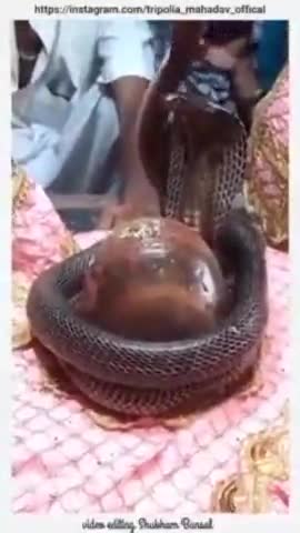 अलवर: अलवर #नाग पंचमी के उपलक्ष्य में त्रिपोलिया शिव मंदिर में श्रद्धालुओं ने नाग-नागिन के दर्शन व पूजा कर सुख-समृद्धि व दोष @