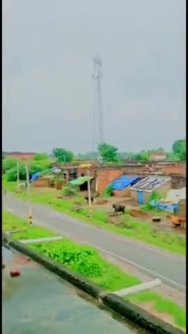 मध्य विद्यालय धनसोई के पास जिओ टावर को किया गया ठीक जो कुछ दिनों से खराब था अब जाकर इंजीनियरों ने किया कि ठीक
#jio