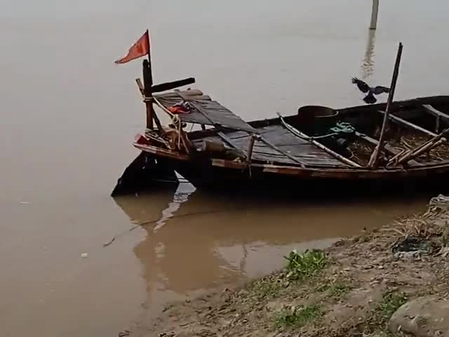 साहेबपुर कमाल: #mungerflood #mungernews #mungerwaterflood #munger जाफर नगर में बाढ़ से हालात बेहाल