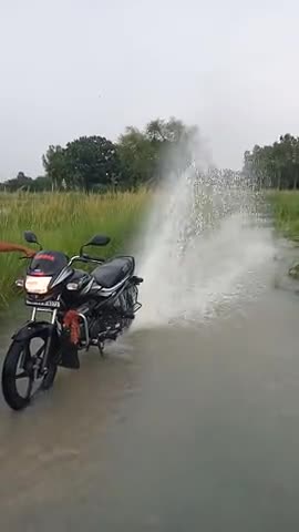 मंझनपुर: #बहादुरपुर गांव में   किलनाहाई नदी का जल स्तर बढ़ा पुल के ऊपर से पानी बहे रहा है धान के खेत हुये जलमग्न
