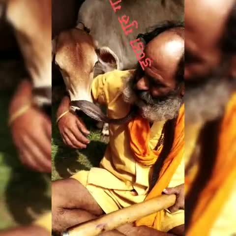 आप सभी बंधुओं को नागपंचमी की अनन्त शुभकामनाएं। #नागपंचमी #महादेव