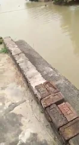 शाहपुर: गाव-.Lalu ke dera. गंगा के जल बढने के कारण गाव के लोग की परेशानी #NDRF TEAM NOT PRESENT
