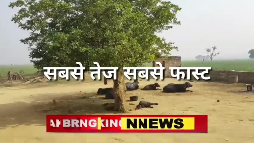 #Bhartpur वार्ड नंबर 33 बीजेपी उम्मीदवार
#नगर #p4mewat #MustakAhmad