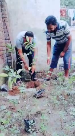 जगाधरी: समाजसेवी डॉ शुभम सैनी द्वारा फलों के पौधे लगाए गए....🌳🌳
#पौधारोपण #पर्यावरण #यमुनानगर #समाजसेवा #जम्मू #कॉलोनी