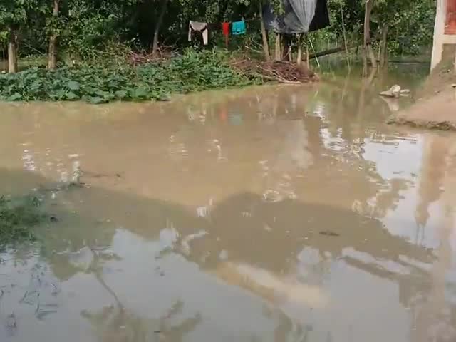 महसी: #gaw badh me fsha log muskil me